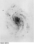 NGC 3810