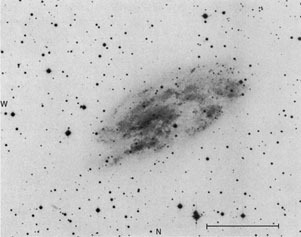 NGC 2427